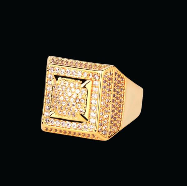 2_06a81c1a-56e2-44cc-89cf-77b3396a579b_900x EMPIRE EDITION HIP HOP FASHION ICED OUT RING