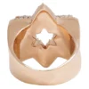 5_9c63f753-cced-489b-83ab-5d5f7c7d8f67_600x600 925 Sterling Silver Moissanite Diamond STAR Men Ring, Fully Iced Gold Plated Men Pinky Ring, Round Moissanite Diamond Hip Hop Ring For Him